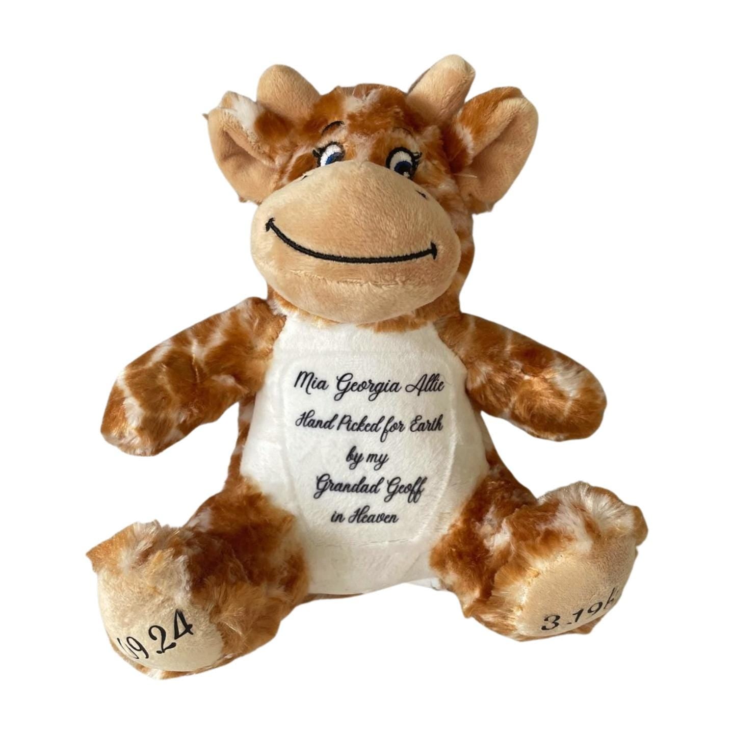 Personalised Teddy, Bunny, soft toy.  Photo Baby Gift, Christening Gift. New Baby gift.