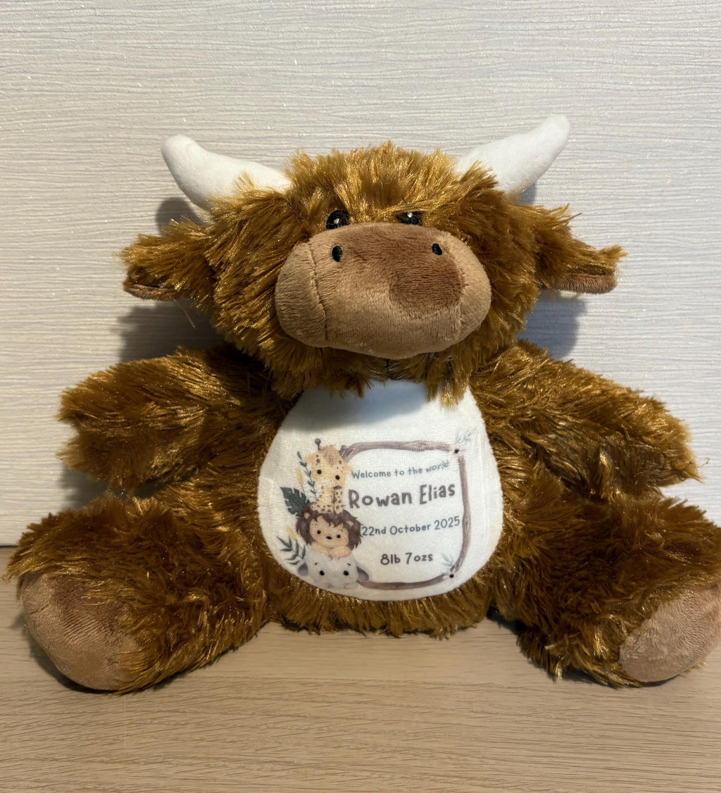 Personalised Teddy, Bunny, soft toy.  Photo Baby Gift, Christening Gift. New Baby gift.