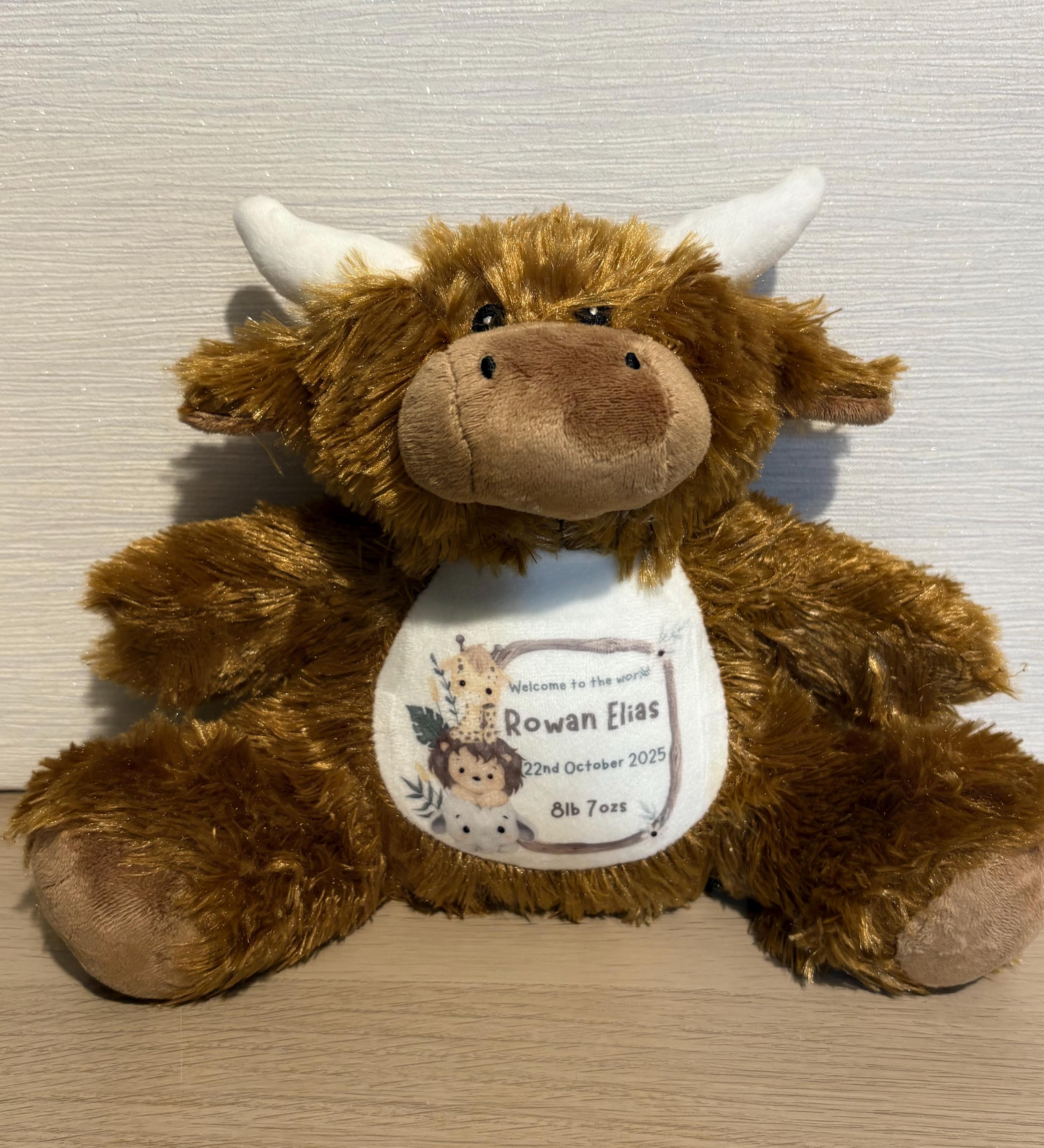 Personalised Teddy, Bunny, soft toy.  Photo Baby Gift, Christening Gift. New Baby gift.